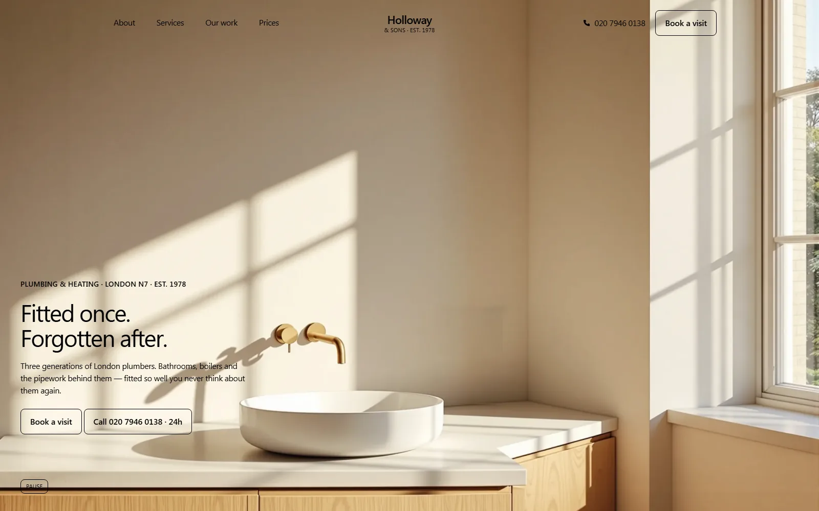 Holloway & Sons screenshot